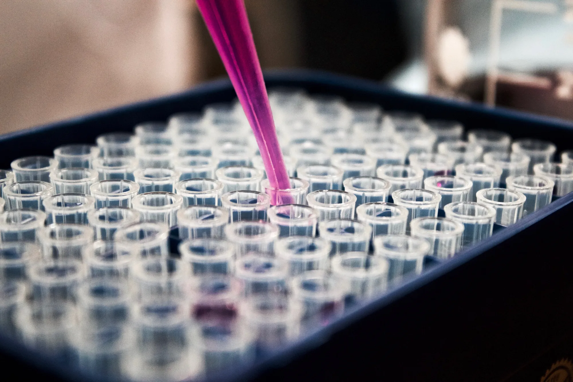 Laboratorium Weterynaryjne - Badania zwierząt towarzyszących